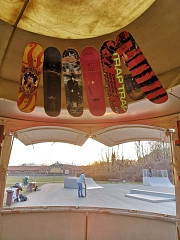Skatebeere Decks
